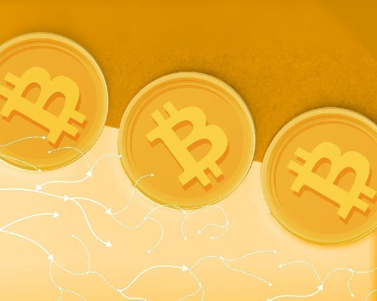 CIO Bitwise: биткоин еще не достиг дна цикла — Крипто Новости