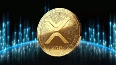 Исследовательская группа сообщает о масштабных планах по улучшению XRP — Крипто Новости