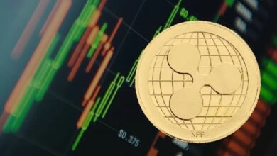 Компания Ripple (XRP) опубликовала технический документ со своим новым планом для банков и финансовых учреждений! — Крипто Новости