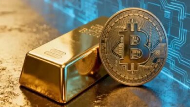 Топ-менеджер QCP Capital назвал биткоин «меняющим свой характер гибридом» — Крипто Новости
