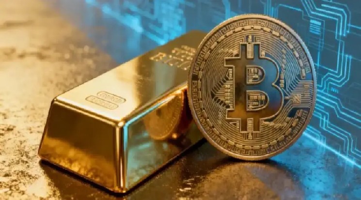 Топ-менеджер QCP Capital назвал биткоин «меняющим свой характер гибридом» — Крипто Новости