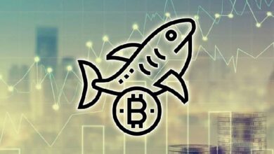 Акулы рынка приобрели более 65 тыс. BTC за последнюю неделю — Крипто Новости