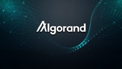 Algorand Foundation сокращает 25% сотрудников: сигнал о давлении на криптоиндустрию — Крипто Новости