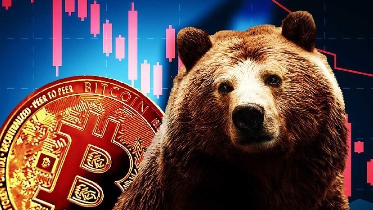 Биткоин продолжит дешеветь из-за роста количества убыточных BTC — Крипто Новости
