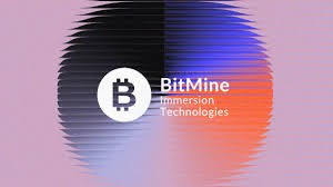 Bitmine запустила MAVAN – платформу для стейкинга ETH институционального уровня — Крипто Новости