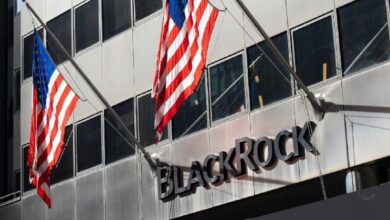 Blackrock считает, что биткоин ожидает знаменательный год, поскольку стейблкоины двигают будущее финансовой системы. — Крипто Новости