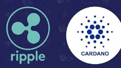 Бывший технический директор Ripple Дэвид Шварц отвечает на заявления основателя Cardano Хоскинсона об XRP и ADA! — Крипто Новости