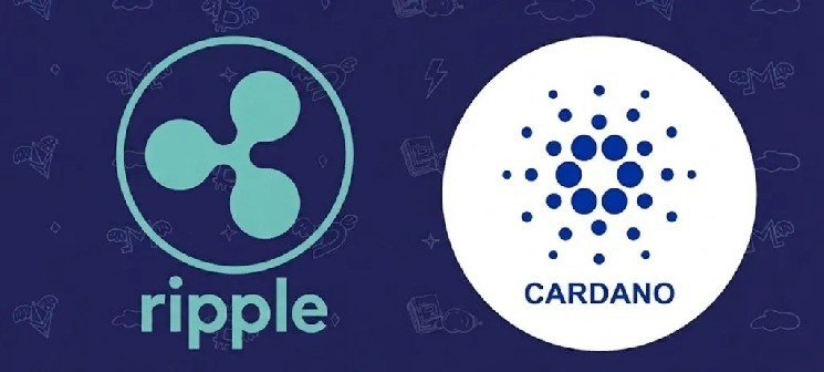 Бывший технический директор Ripple Дэвид Шварц отвечает на заявления основателя Cardano Хоскинсона об XRP и ADA! — Крипто Новости