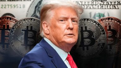 Члены совета директоров американской биткоин-компании, поддерживаемой Трампом, скупают акции после публикации отчета о доходах — Крипто Новости