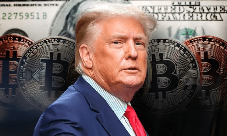 Члены совета директоров американской биткоин-компании, поддерживаемой Трампом, скупают акции после публикации отчета о доходах — Крипто Новости