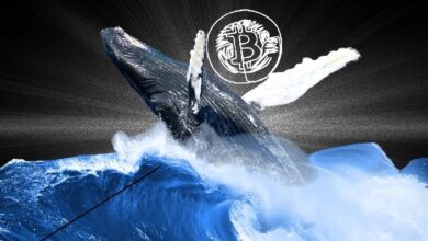 Долгосрочные запасы биткоин-китов достигли рекордных 14,3 млн BTC — Крипто Новости