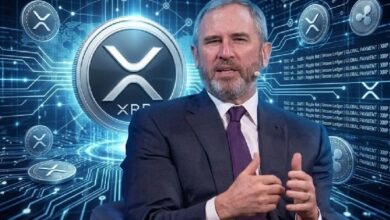Генеральный директор Ripple Брэд Гарлингхаус сделал несколько впечатляющих заявлений о будущем криптовалют! — Крипто Новости