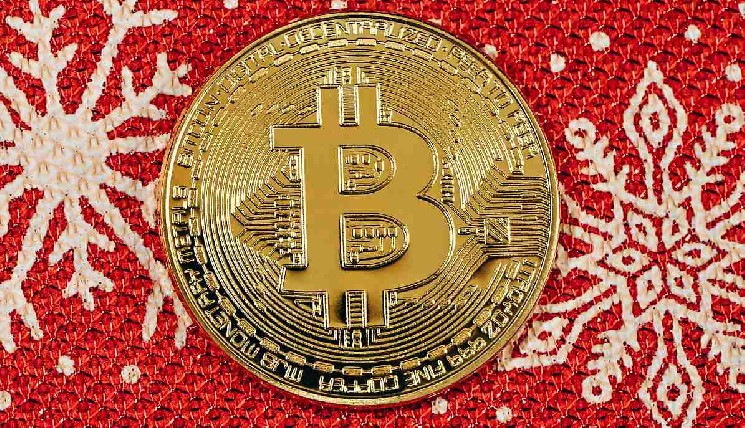Искусственный интеллект ожидает рост биткоина к 25 декабря — Крипто Новости