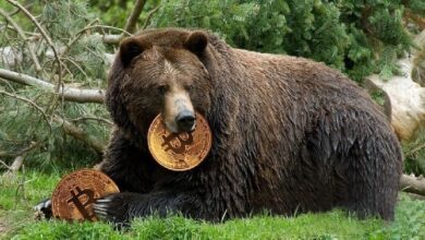 Известный аналитик утверждает, что «падение биткоина еще не закончилось», и раскрывает целевой уровень! В долгосрочной перспективе он прогнозирует рост до 400 000 долларов! — Крипто Новости