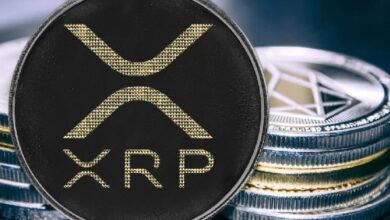 Казначейская компания XRP делает важное заявление: «Недавнее решение в США идеально подходит для XRP» — Крипто Новости