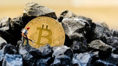 Компании, занимающиеся майнингом биткоинов, все чаще переориентируются на сектор искусственного интеллекта — Крипто Новости
