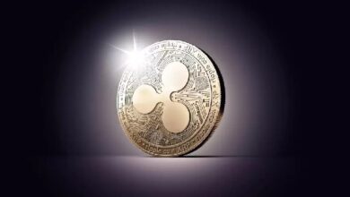 Компания Evernorth сообщает о значительных убытках от инвестиций в XRP Holdings: теперь будет применять другую стратегию — Крипто Новости