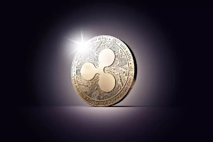 Компания Evernorth сообщает о значительных убытках от инвестиций в XRP Holdings: теперь будет применять другую стратегию — Крипто Новости