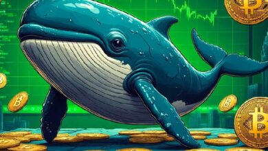 Криптокиты за последние 4 месяца выкупили 1% от общей эмиссии биткоина — Крипто Новости