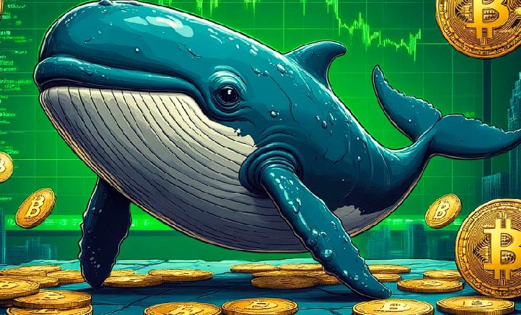 Криптокиты за последние 4 месяца выкупили 1% от общей эмиссии биткоина — Крипто Новости