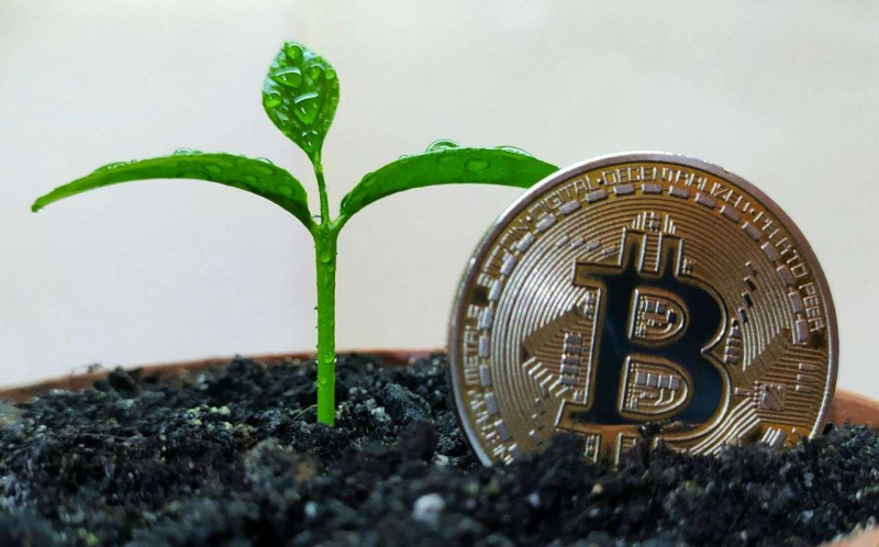 Мифы и реальные факты про биткоин в 2023 году — Крипто Новости