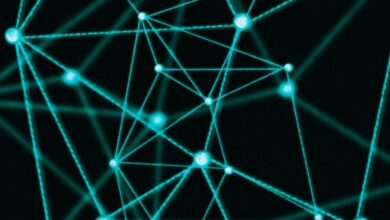 Ontology опубликовал планы развития на 2026 год — Крипто Новости