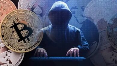 Россиянка потеряла более 9 млн рублей в мошеннической криптосхеме — Крипто Новости