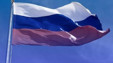 «Сбер» выпустил биткоин-облигации на 500 млн рублей — Крипто Новости