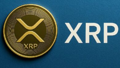 Стали известны самые крупные инвесторы в XRP-фонды — Крипто Новости