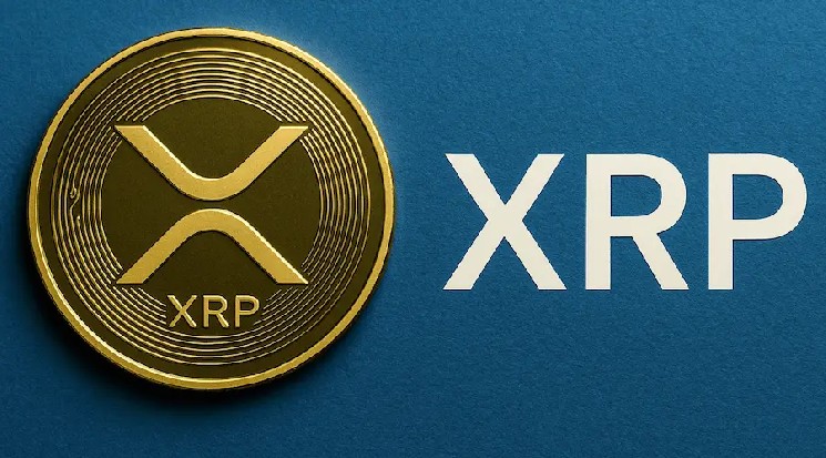 Стали известны самые крупные инвесторы в XRP-фонды — Крипто Новости