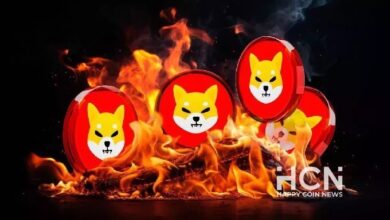 Сжигание 68 млн SHIB и рост Shiba Inu воодушевило сообщество — Крипто Новости