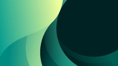 zerohash расширяет поддержку USDCx в сети Canton — Крипто Новости