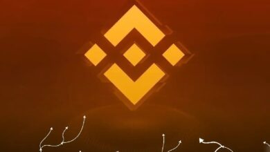Binance раскрыла детали расследования переводов на связанные с Ираном адреса — Крипто Новости