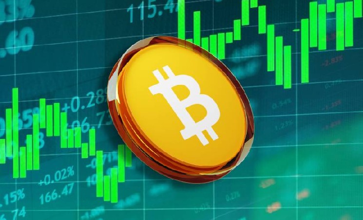 Bitcoin пробил $104 000 на фоне притока новых кошельков — Крипто Новости