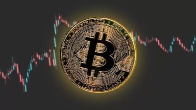BitMEX опубликовала подробный отчет о текущем состоянии биткоина: «Это начальный целевой уровень для BTC!» — Крипто Новости