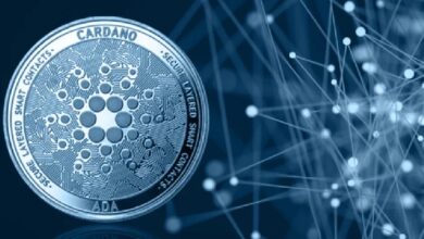 Блокчейн-проект Cardano объявляет о значительных инвестициях для укрепления своей экосистемы! Вот подробности — Крипто Новости