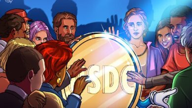 Circle запустила USDC Bridge для нативных кроссчейн-переводов — Крипто Новости