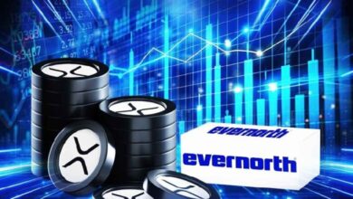 Evernorth выходит на Nasdaq: первая публичная компания с казначейством на XRP подала в SEC поправку S-4 — Крипто Новости