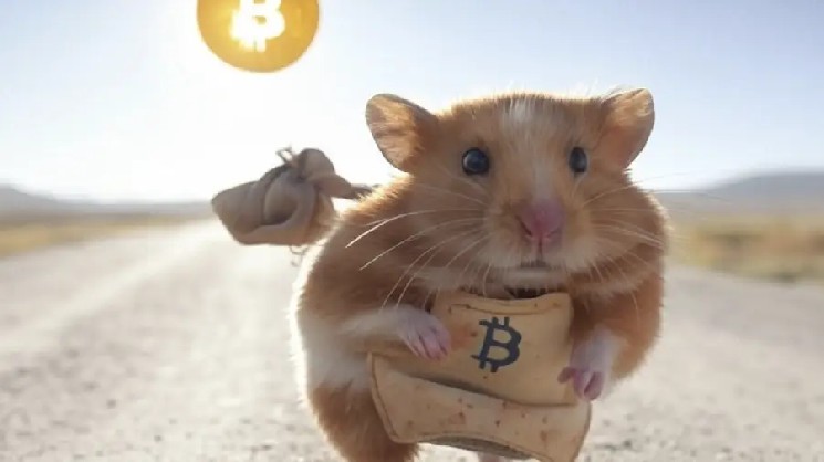 Количество биткоин-миллионеров сократилось на 20% — Крипто Новости