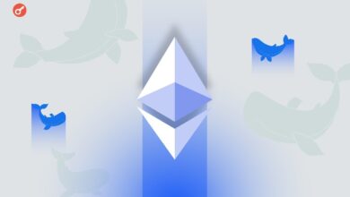 Количество Ethereum-китов выросло на фоне скачка активности в сети — Крипто Новости