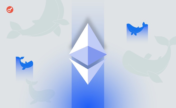 Количество Ethereum-китов выросло на фоне скачка активности в сети — Крипто Новости