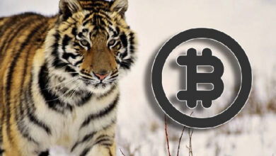 На всех миллионеров мира не хватит BTC — Крипто Новости