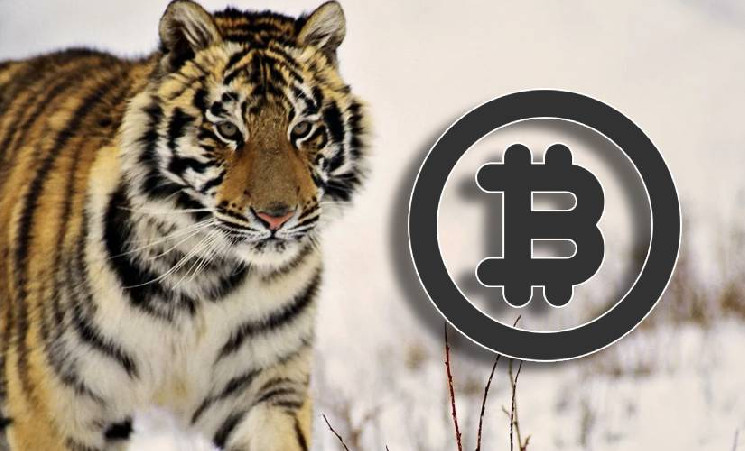 На всех миллионеров мира не хватит BTC — Крипто Новости