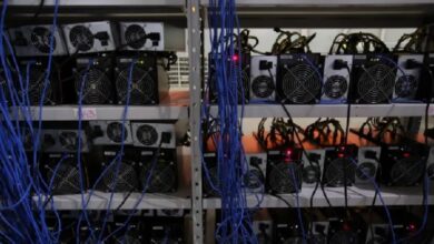Российские силовики ликвидировали нелегальную криптоферму на 850 устройств — Крипто Новости