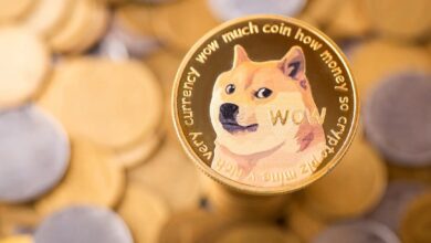 Стоит ли инвестировать в Dogecoin (DOGE) в 2026 году? — Крипто Новости