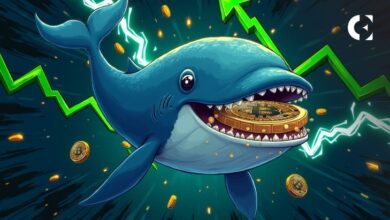 Судя по исторической активности китов, цене биткоина (BTC) ещё предстоит долгий путь роста — Крипто Новости