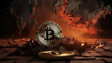 5 акций майнинговых компаний, которые обгоняют биткоин на фоне бума инвестиций в ИИ-инфраструктуру — Крипто Новости