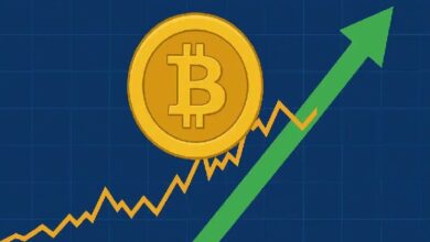 Долгосрочные держатели биткоина снова скупают BTC — Крипто Новости