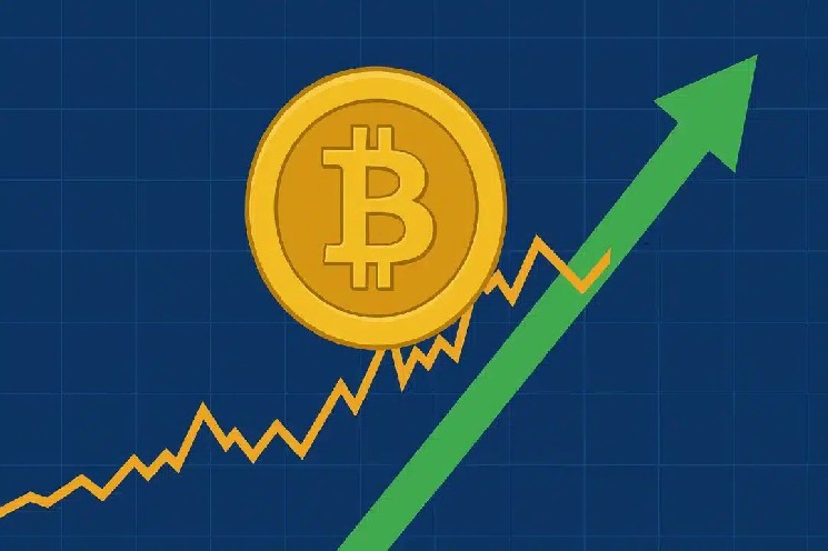 Долгосрочные держатели биткоина снова скупают BTC — Крипто Новости