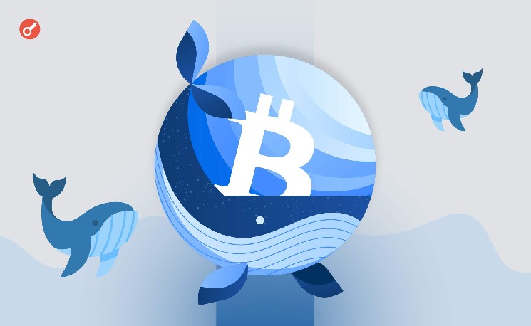 Эксперты сообщили об активации двух «спящих» Ethereum-китов — Крипто Новости